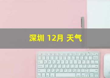 深圳 12月 天气